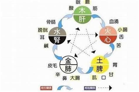 缺水五行|五行缺水会怎么样 命里缺水的人应该怎么办